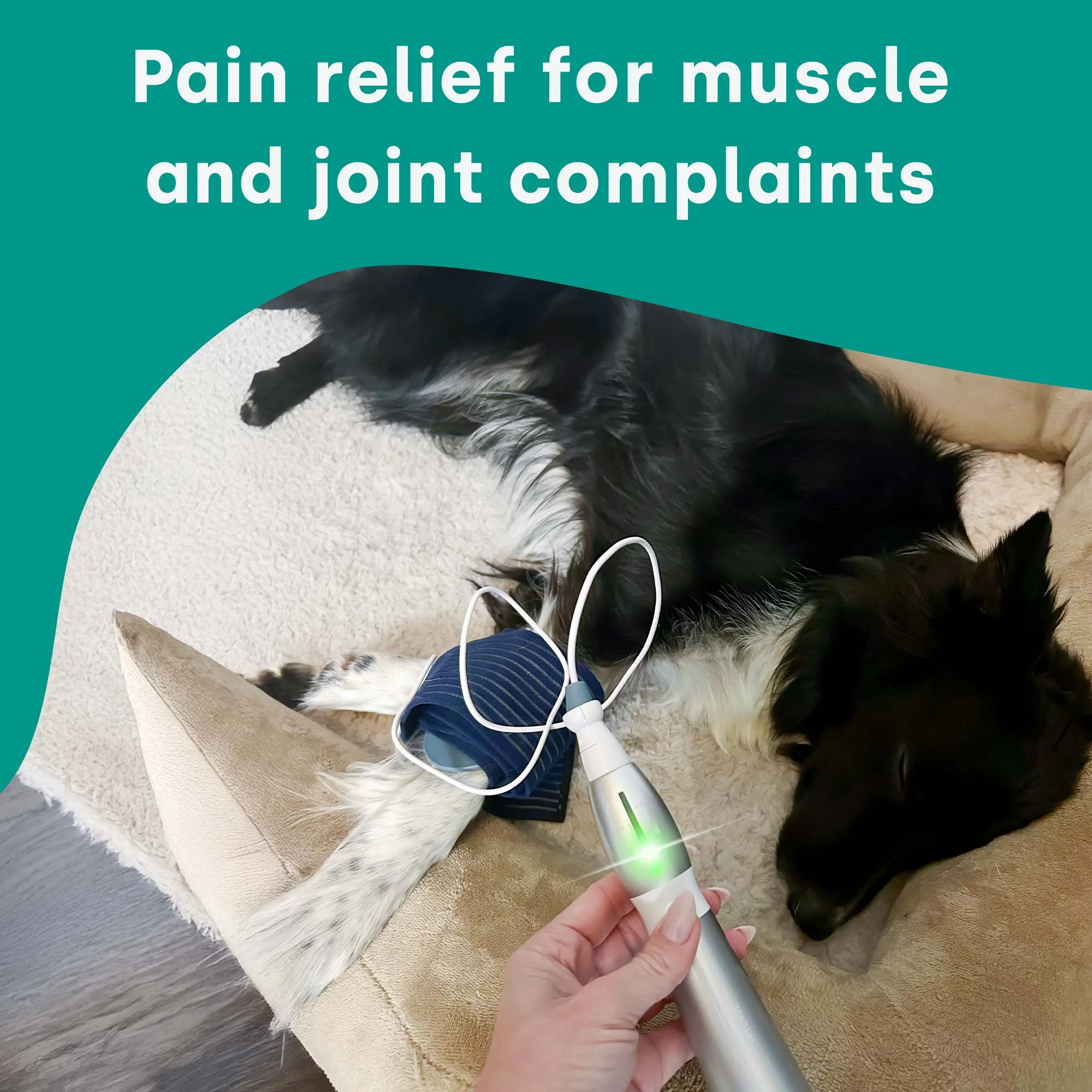 emmi-pet Physio Set PLUS UK - Image 3