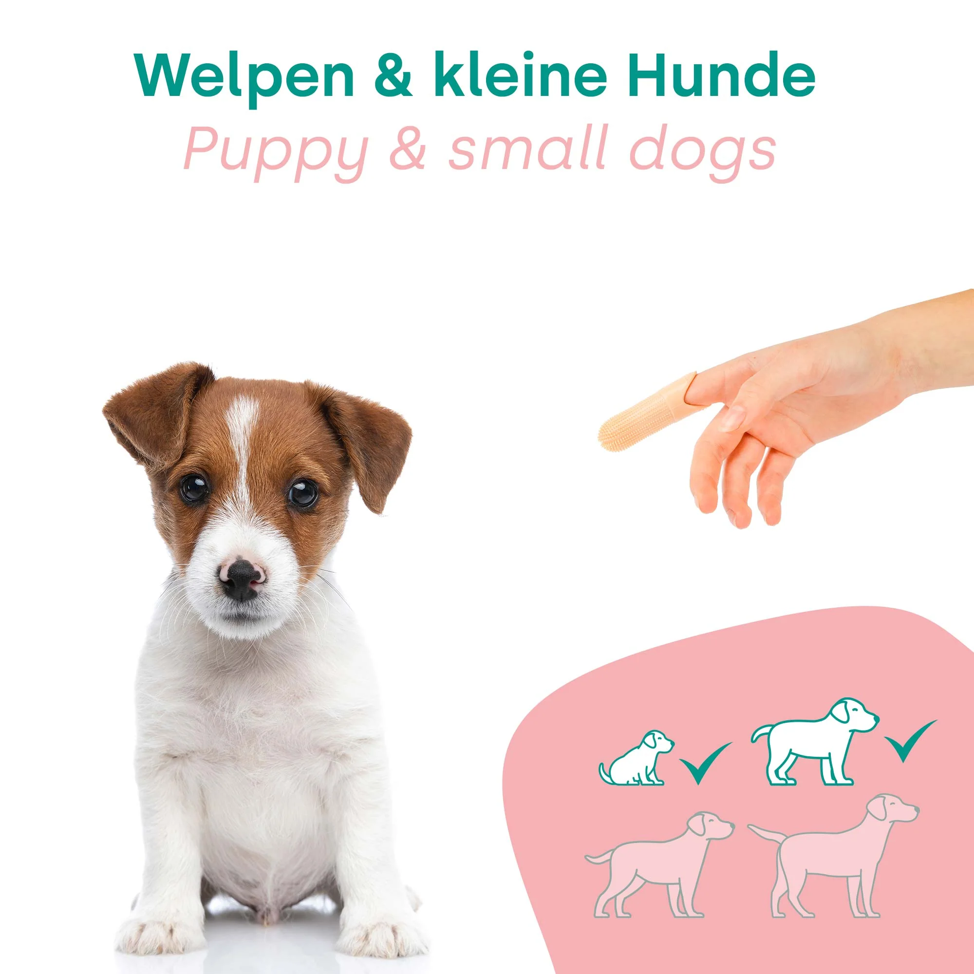 HappyDentalCare Puppie Set - Image 13