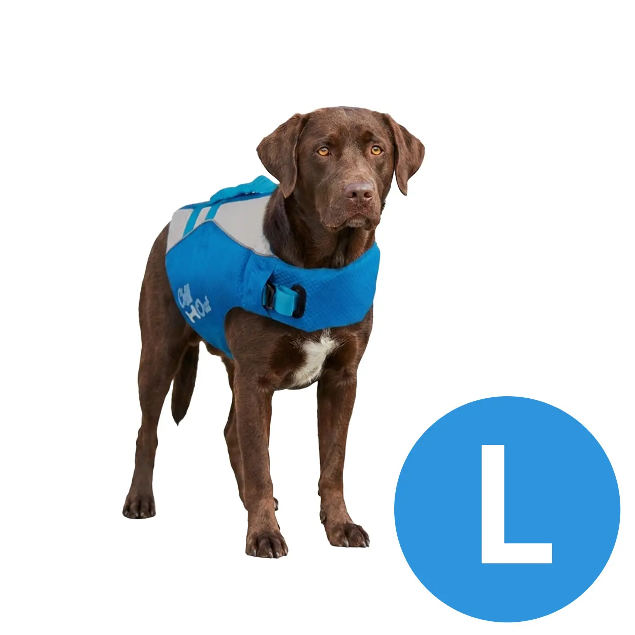 Schwimmweste für Hunde - Image 5