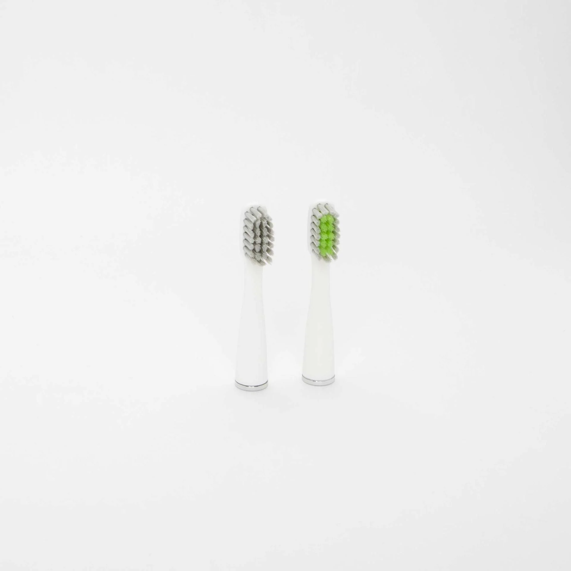 Sonic ToGo Aufsteckbürsten "white" 2 Stk. - Image 2